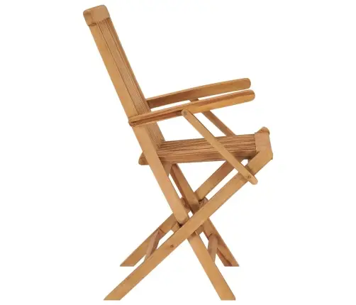 Saliekami Dārza Krēsli, 3 Gab., Masīvs Tīkkoks Vidaxl