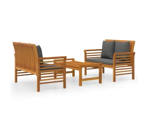 3-Osaline Aiamööbli Komplekt Patjadega, Akaatsiapuit Vidaxl