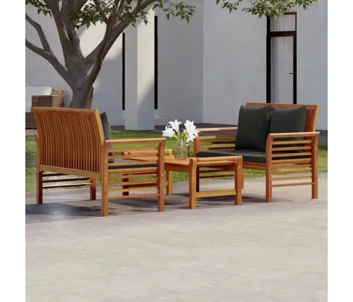 3-Osaline Aiamööbli Komplekt Patjadega, Akaatsiapuit Vidaxl