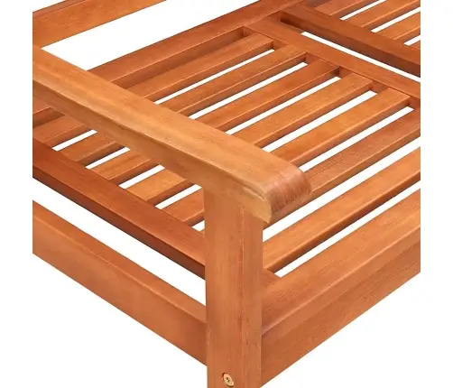 Dvivietis Sodo Suoliukas Su Pagalvėle, 120cm Eukalipto Masyvas