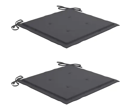 Sodo Kėdės Su Pagalvėlėmis, 2Vnt., Akacijos Medienos Masyvas