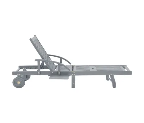 Dārza Sauļošanās Zvilnis Ar Matraci, Akācijas Masīvkoks Vidaxl