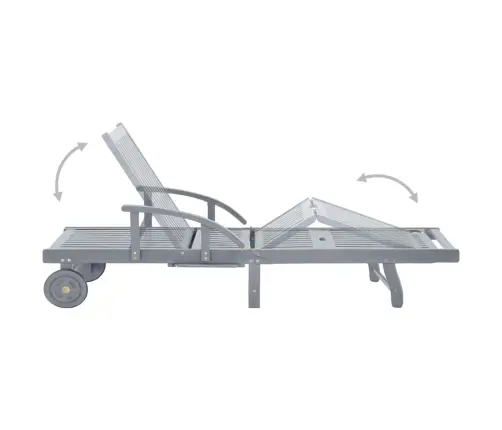 Dārza Sauļošanās Zvilnis Ar Matraci, Akācijas Masīvkoks Vidaxl