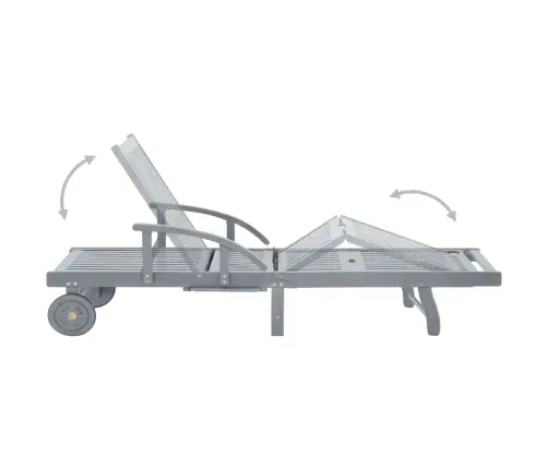 Dārza Sauļošanās Zvilnis Ar Matraci, Akācijas Masīvkoks Vidaxl