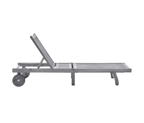 Dārza Sauļošanās Zvilnis Ar Matraci, Pelēks, Akācijas Masīvkoks Vidaxl