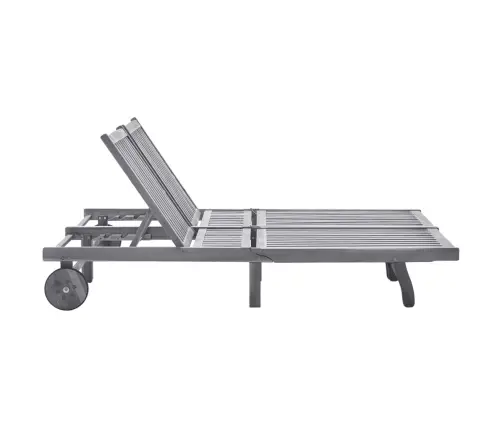 Divvietīgs Sauļošanās Zvilnis Ar Matračiem, Akācijas Masīvkoks Vidaxl