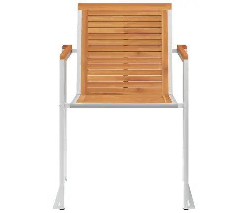 Sodo Kėdės Su Pagalvėlėmis, 2Vnt., Akacijos Masyvas Ir Plienas