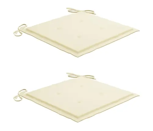 Sodo Kėdės Su Pagalvėlėmis, 2Vnt., Akacijos Masyvas Ir Plienas