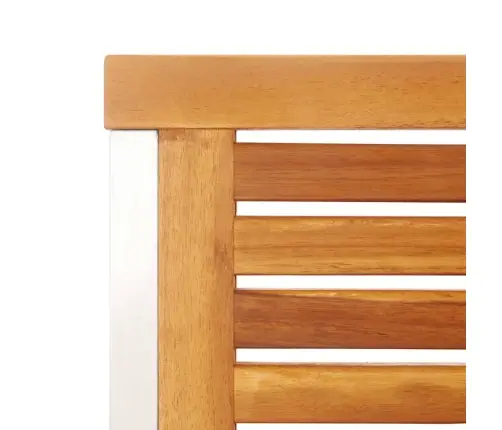 Aiatoolid Patjadega, 2 Tk, Akaatsiapuit Ja Teras Aiatoolid Patjadega, 2 Tk, Akaatsiapuit Ja Teras