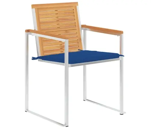 Sodo Kėdės Su Pagalvėlėmis, 2Vnt., Tikmedžio Masyvas Ir Plienas