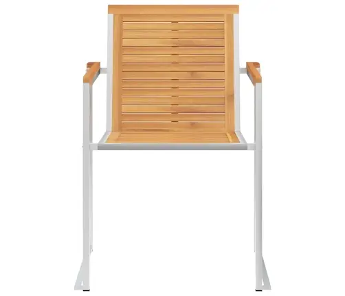 Sodo Kėdės Su Pagalvėlėmis, 2Vnt., Tikmedžio Masyvas Ir Plienas