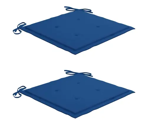 Sodo Kėdės Su Pagalvėlėmis, 2Vnt., Tikmedžio Masyvas Ir Plienas