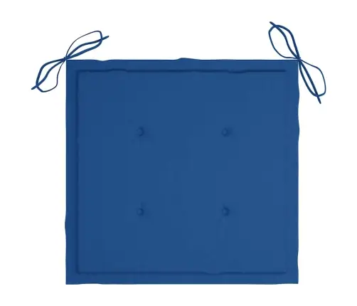 Sodo Kėdės Su Pagalvėlėmis, 2Vnt., Tikmedžio Masyvas Ir Plienas