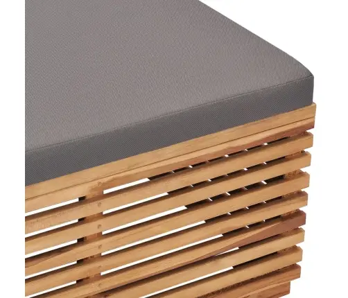 Aialaua Ja Jalapingi Komplekt Tumehalli Istmepadjaga, Tiikpuu