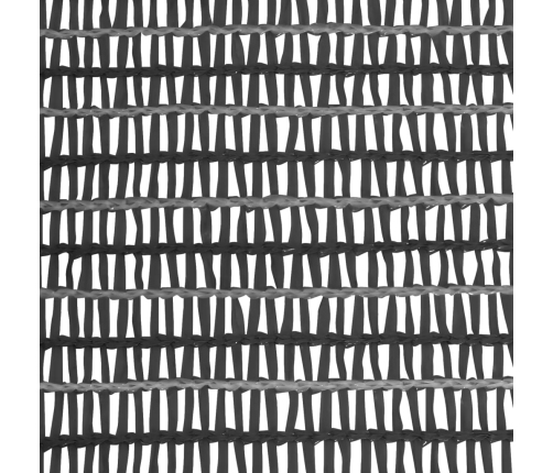 Norobežojošais Tīkls, Antracītpelēks, 1X50 M, Hdpe, 75 G/M² Vidaxl