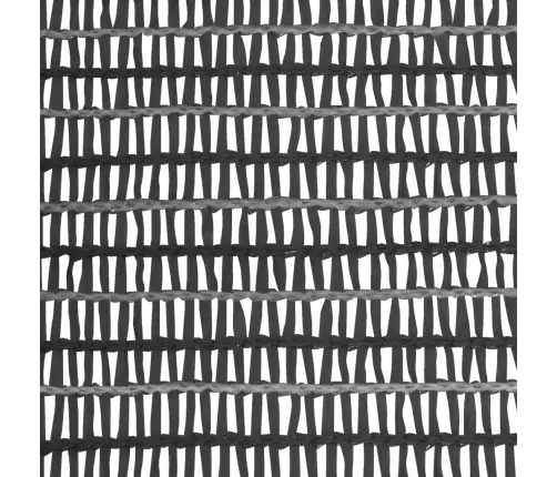 Privaatsusvõrk, Antratsiit, 1 X 50 M, Hdpe, 75 G/M²