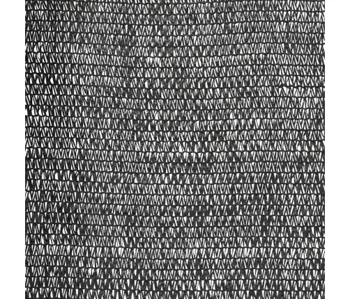 Privaatsusvõrk, Must, 2 X 25 M, Hdpe, 195 G/M²