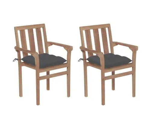 Aiatoolid 2 Tk Antratsiithallide Istmepatjadega, Tiikpuu