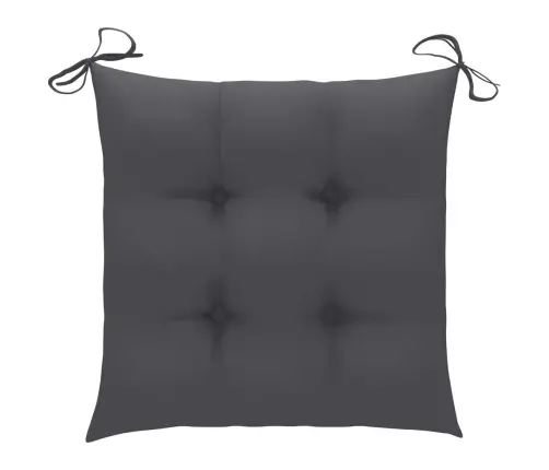 Aiatoolid 2 Tk Antratsiithallide Istmepatjadega, Tiikpuu