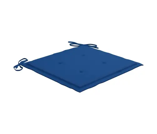 Sodo Kėdės Su Mėlynomis Pagalvėlėmis, 2Vnt., Tikmedžio Masyvas