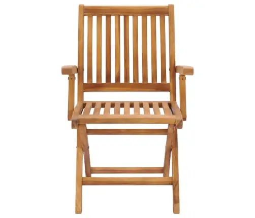 Sodo Kėdės Su Languotomis Pagalvėlėmis, 2Vnt., Tikmedis