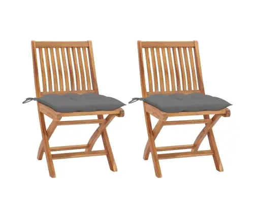 Aiatoolid 2 Tk Hallide Istmepatjadega, Tiikpuu