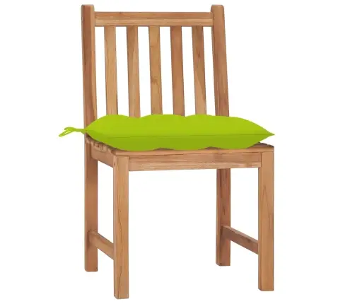 Sodo Kėdės Su Pagalvėlėmis, 2Vnt., Tikmedžio Medienos Masyvas