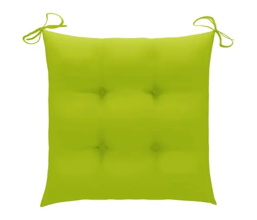 Sodo Kėdės Su Pagalvėlėmis, 2Vnt., Tikmedžio Medienos Masyvas