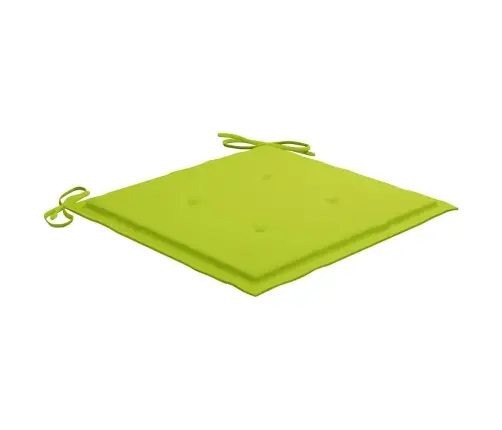 Sodo Kėdės Su Šviesiai Žaliomis Pagalvėlėmis, 2Vnt., Tikmedis