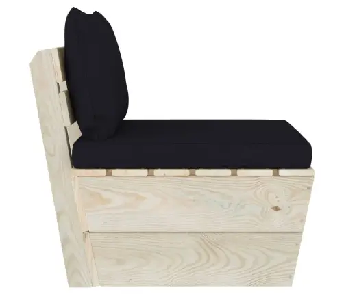 Vidurinė Sodo Sofos Dalis Iš Palečių Su Pagalvėlėmis, Eglė