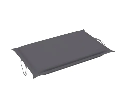 Sauļošanās Zvilnis Ar Matraci, Pelēks Akācijas Masīvkoks Vidaxl