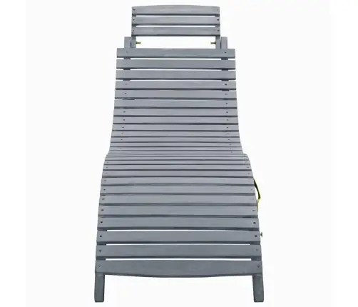 Sauļošanās Zvilnis Ar Matraci, Pelēks Akācijas Masīvkoks Vidaxl