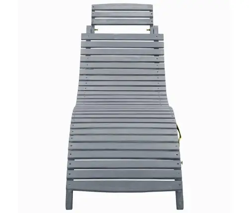 Päevitustool Istmepadjaga, Hall, Akaatsiapuit