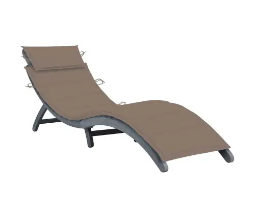 Sauļošanās Zvilnis Ar Matraci, Pelēks Akācijas Masīvkoks Vidaxl Sauļošanās Zvilnis Ar Matraci, Pelēks Akācijas Masīvkoks Vidaxl