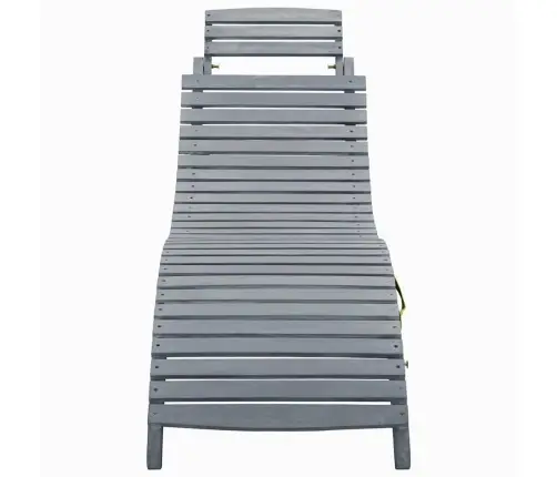 Sauļošanās Zvilnis Ar Matraci, Pelēks Akācijas Masīvkoks Vidaxl Sauļošanās Zvilnis Ar Matraci, Pelēks Akācijas Masīvkoks Vidaxl