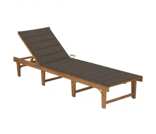 Sauļošanās Zvilnis Ar Matraci, Salokāms, Akācijas Masīvkoks Vidaxl