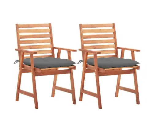Lauko Valgomojo Kėdės Su Pagalvėlėmis, 2Vnt., Akacijos Masyvas