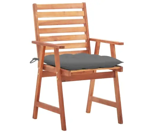 Lauko Valgomojo Kėdės Su Pagalvėlėmis, 2Vnt., Akacijos Masyvas