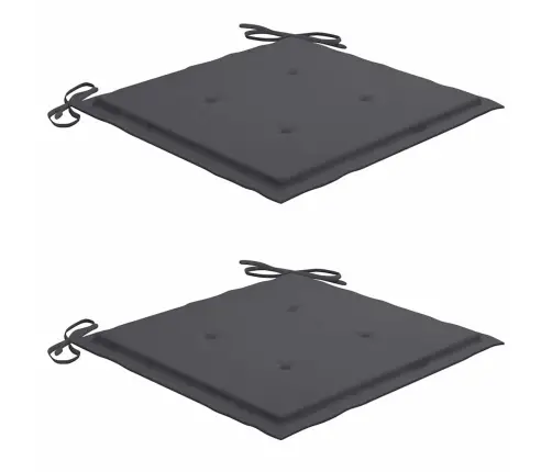 Sulankstomos Lauko Kėdės Su Pagalvėmis, 2Vnt., Akacijos Masyvas