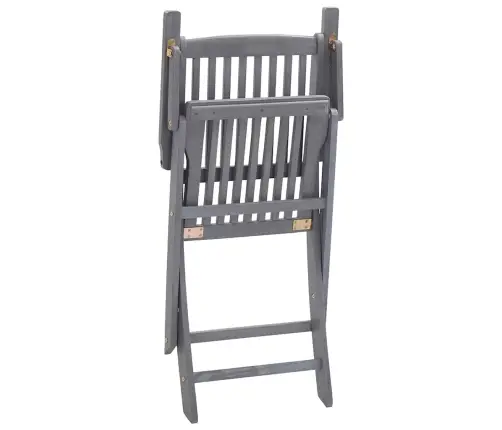 Sulankstomos Lauko Kėdės Su Pagalvėmis, 2Vnt., Akacijos Masyvas