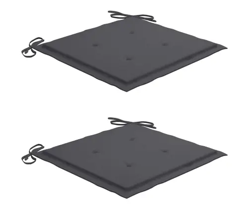 Sulankstomos Lauko Kėdės Su Pagalvėmis, 2Vnt., Akacijos Masyvas