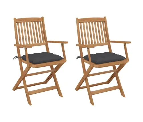 Saliekami Dārza Krēsli Ar Matračiem, 2 Gb., Akācijas Masīvkoks Vidaxl