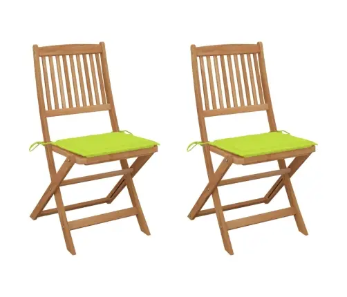 Sulankstomos Sodo Kėdės Su Pagalvėmis, 2Vnt., Akacijos Masyvas