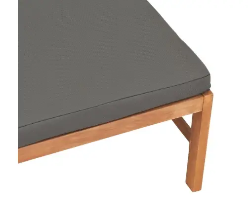 Pakoja Su Tamsiai Pilka Pagalvėle, Tikmedžio Medienos Masyvas