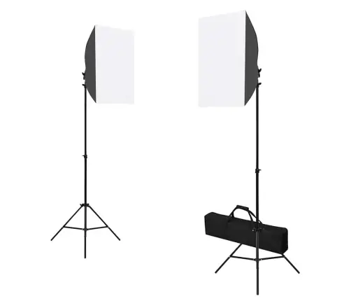 Fotostudijos Komplektas Su Šviesdėžėmis, Fonu Ir Reflektoriumi