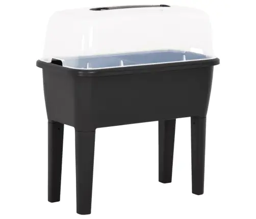 Aukštas Lovelis, 77X38,7X82cm Pp