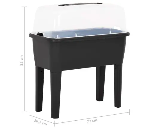 Aukštas Lovelis, 77X38,7X82cm Pp