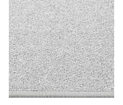 Paklāja Celiņš, Gaiši Pelēks, 80X300 Cm Vidaxl
