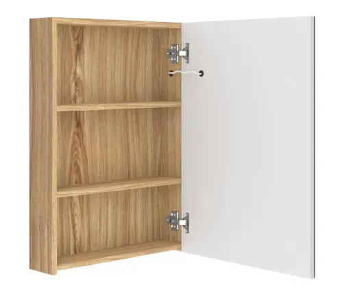 Vannasistabas Skapītis Ar Spoguli Un Led, 50X13X70 Cm Vidaxl