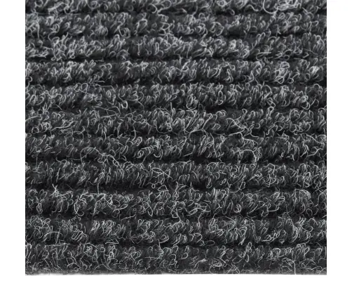 Paklāja Celiņš, Netīrumus Aizturošs, 100X300 Cm, Pelēks Vidaxl